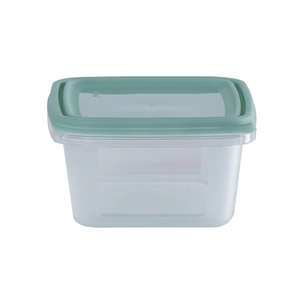 Set of 6 Everyday 0.25 Litre Plastic Food Boxes with Lids Wham Storage