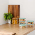 Set of 6 Everyday 0.25 Litre Plastic Food Boxes with Lids Wham Storage