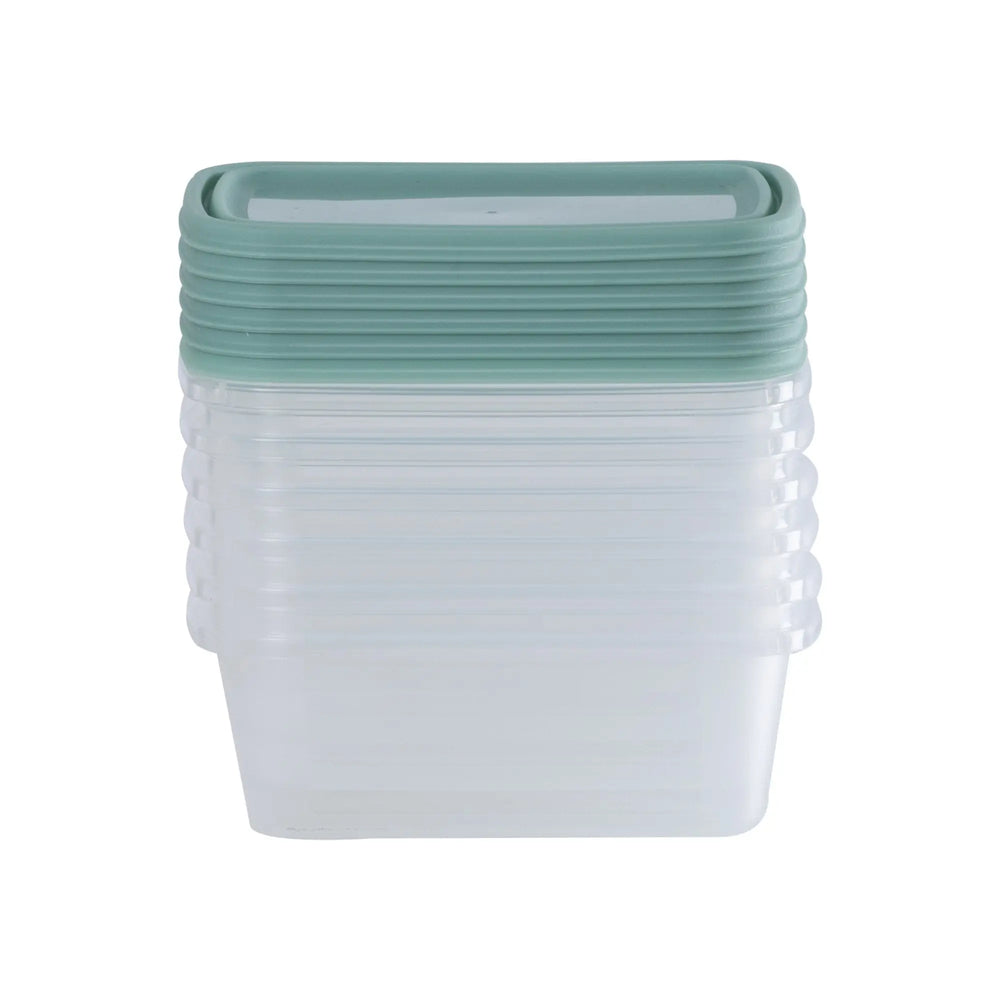 Set of 6 Everyday 0.25 Litre Plastic Food Boxes with Lids Wham Storage