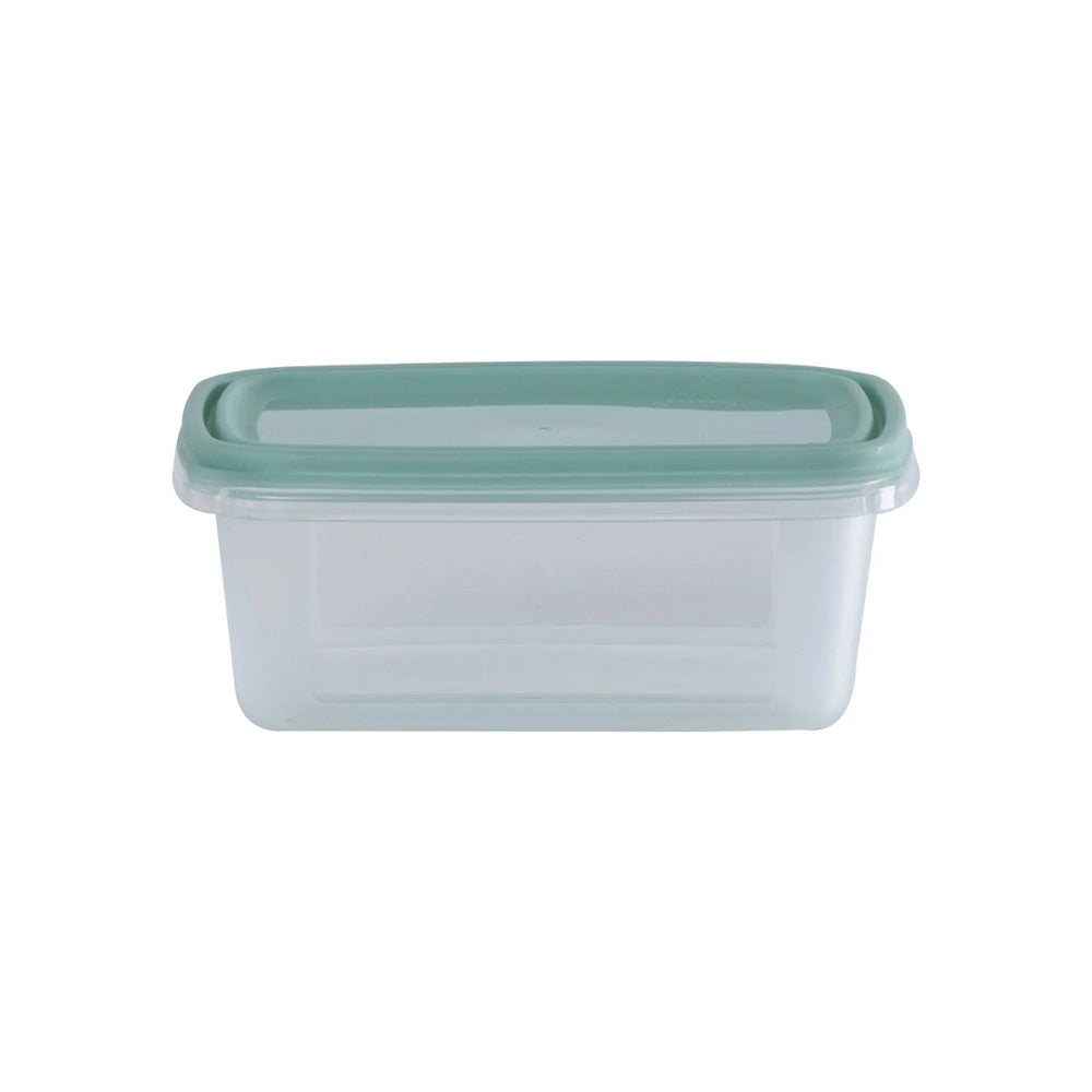 Set of 6 Everyday 0.25 Litre Plastic Food Boxes with Lids Wham Storage