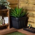 Potted plant on a wooden deck with gardening tools and books.