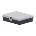 12.5cm Mini Organiser Wham