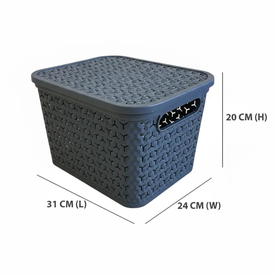 Medium Urban Store Plastic Storage Basket with Lid Strata