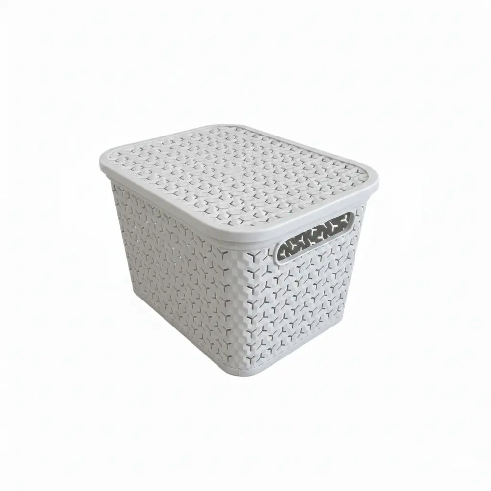Medium Urban Store Plastic Storage Basket with Lid Strata