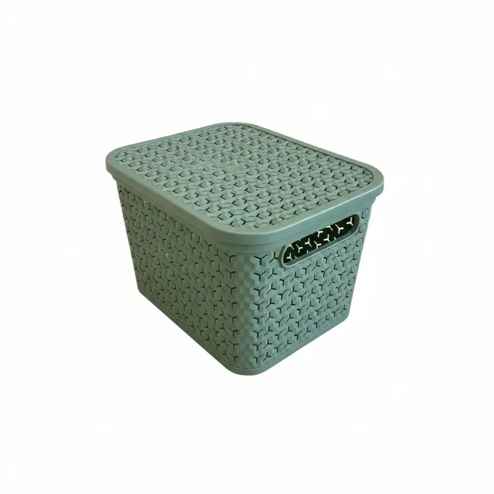 Medium Urban Store Plastic Storage Basket with Lid Strata