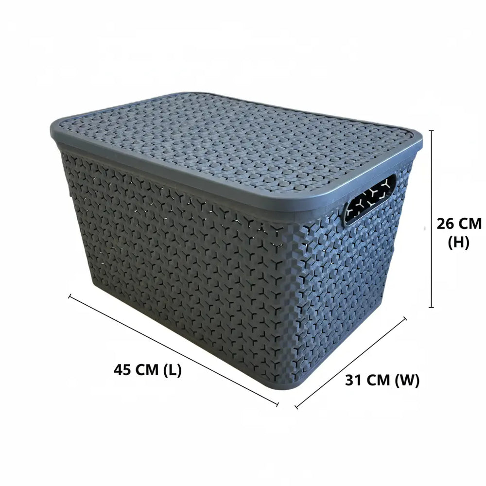 Large Urban Store Plastic Storage Basket with Lid Strata