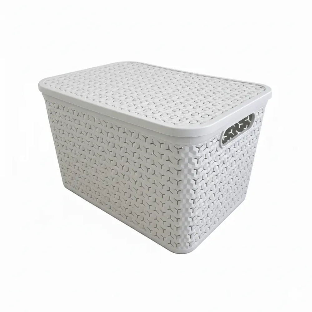 Large Urban Store Plastic Storage Basket with Lid Strata