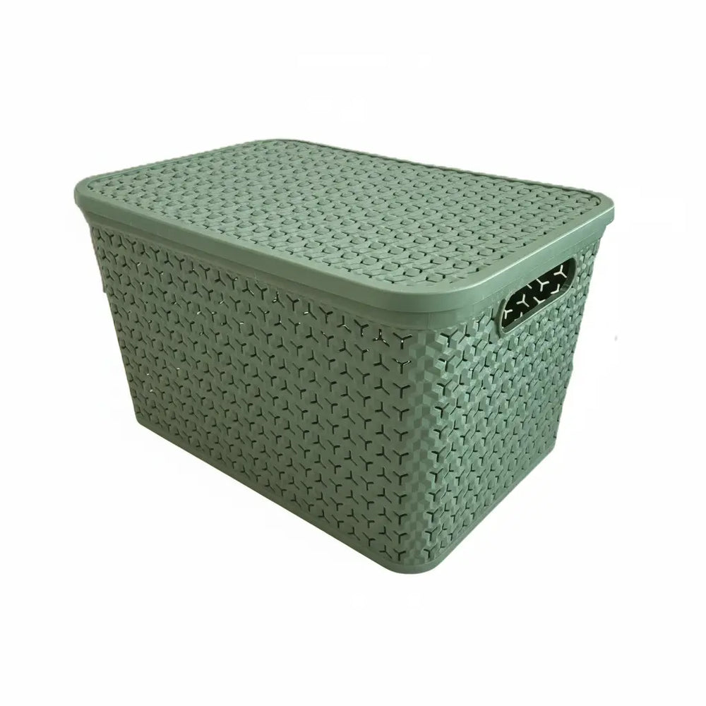 Large Urban Store Plastic Storage Basket with Lid Strata