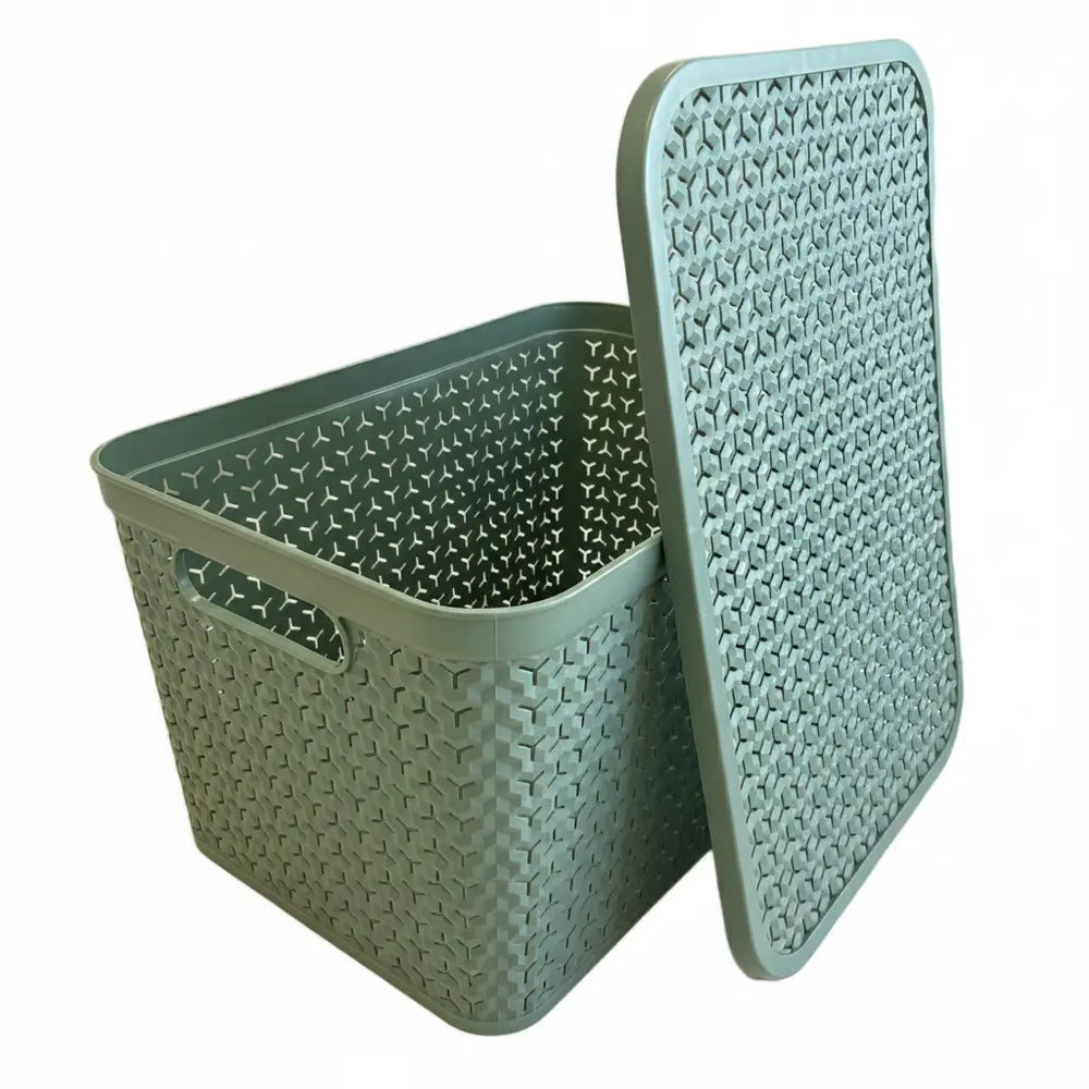 Large Urban Store Plastic Storage Basket with Lid Strata