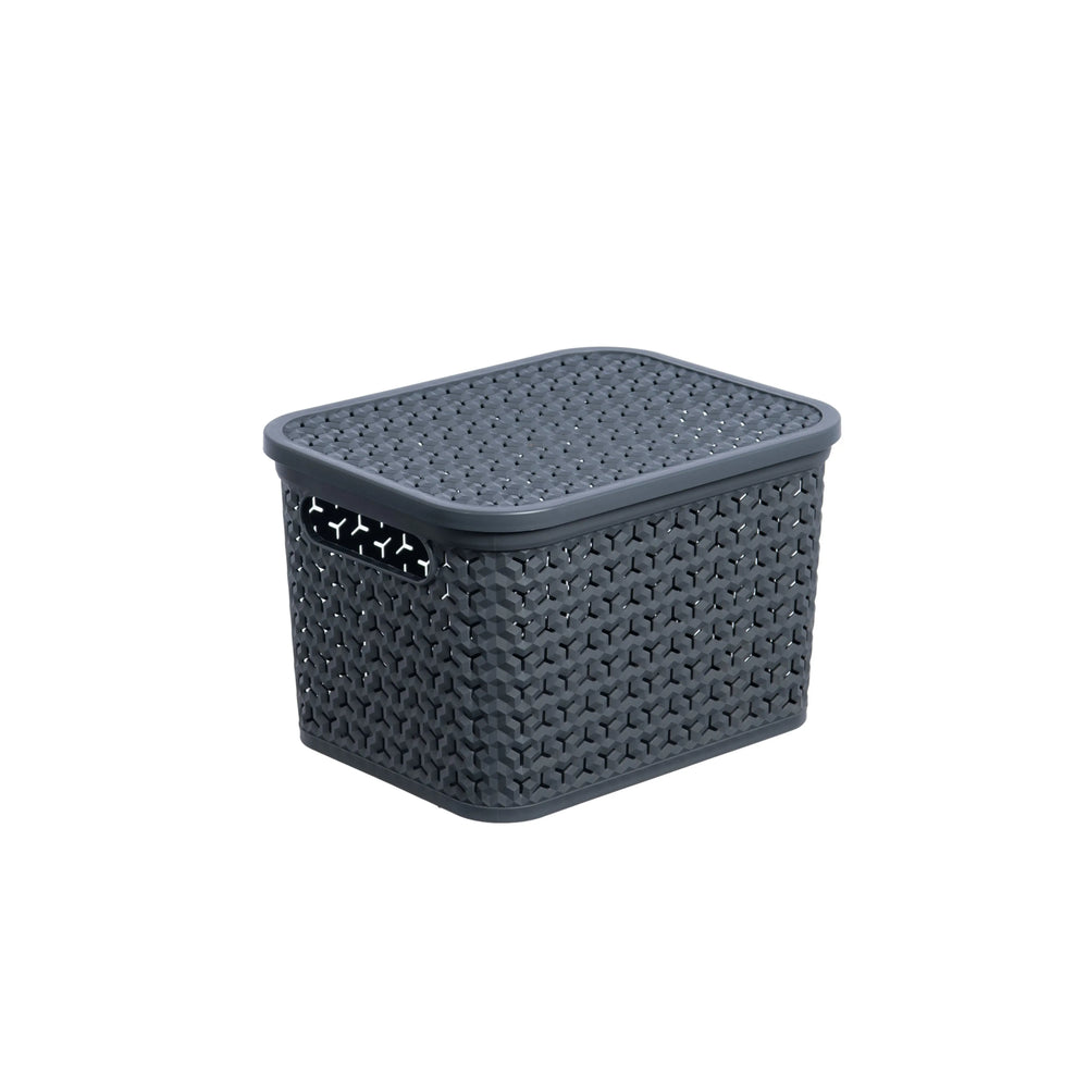 Small Urban Store Plastic Storage Basket with Lid Strata