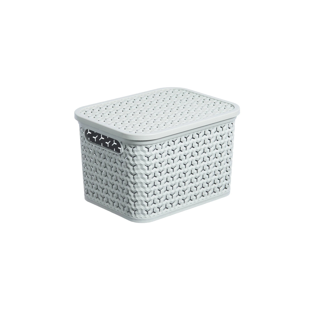 Small Urban Store Plastic Storage Basket with Lid Strata